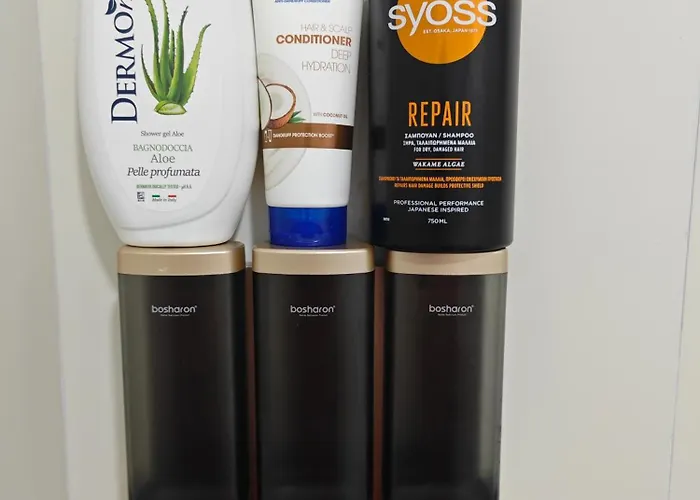 Apartamento Vasil Gjika 1